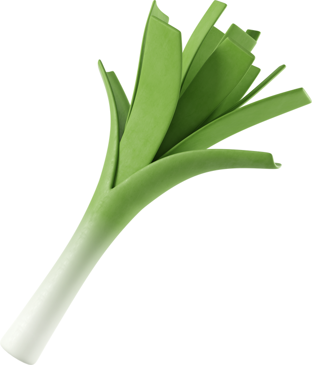 Leek