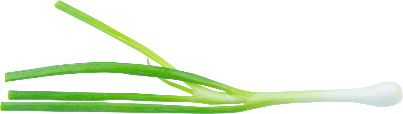 Green onion