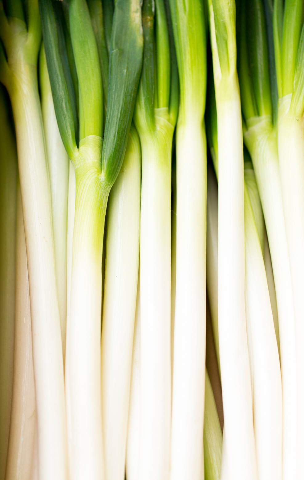 Green Onions